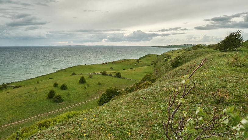 Skredterrasserne ved Voderup Klint fotograferet mod vest