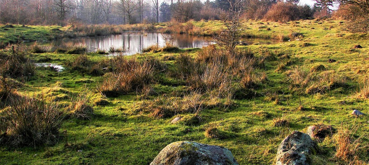 Rødme Svinehaver. Geopark Det Sydfynske Øhav